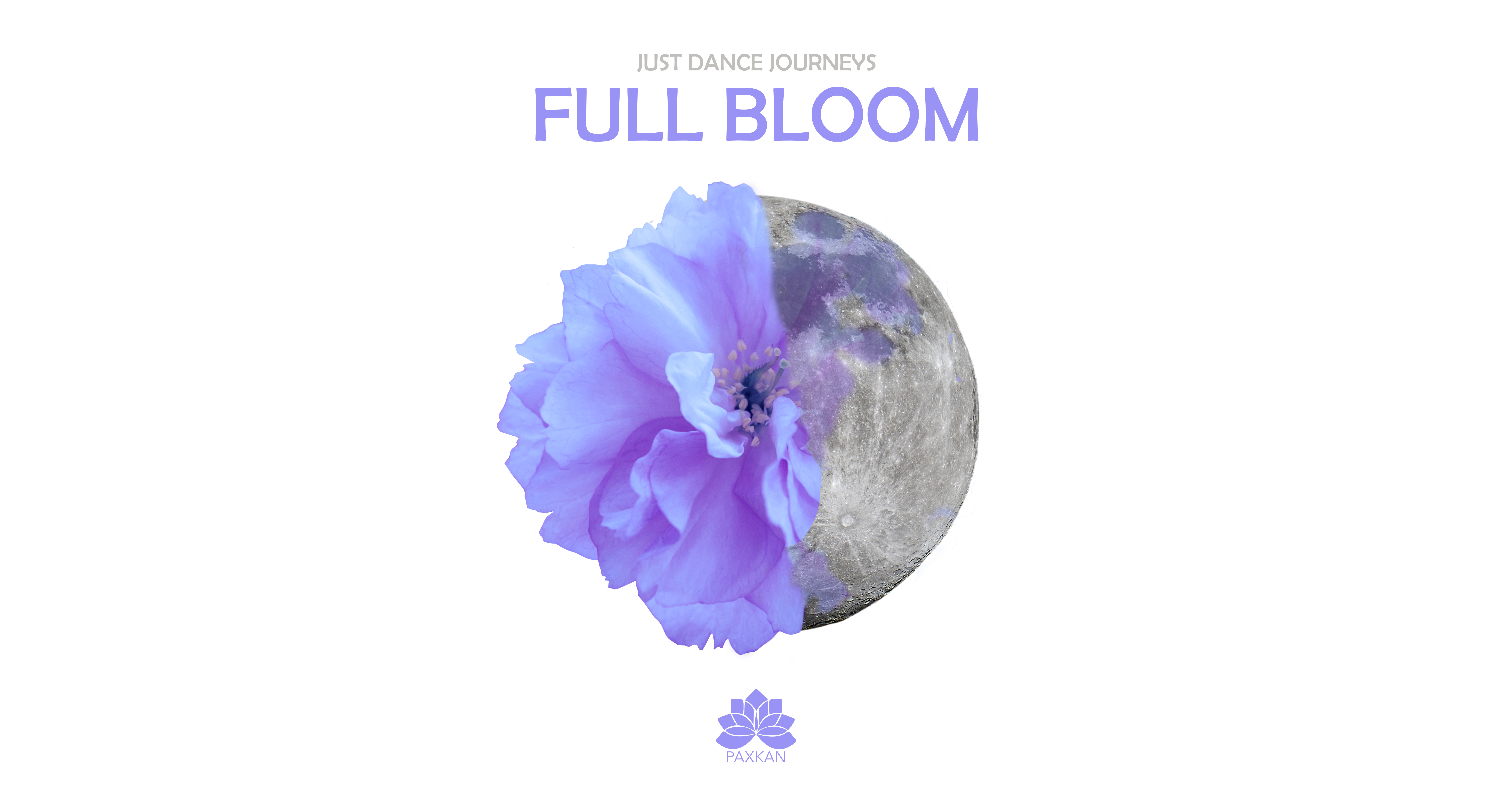 Full Bloom banner